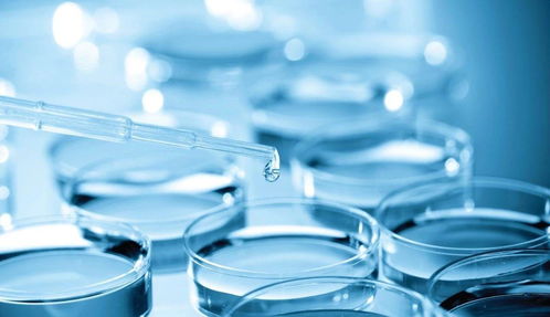 專(zhuān)利變現(xiàn)還是技術(shù)突圍？熱景生物科創(chuàng)板IVD首秀背后的市場(chǎng)考驗(yàn)