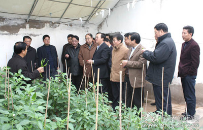 甘肅省政府督查組赴麥積區(qū)開展商貿(mào)領(lǐng)域?qū)ｍ?xiàng)督查